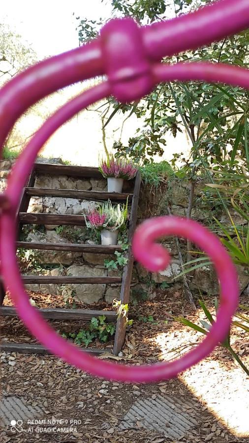 B&B La Casina Di Iris Arezzo Exterior foto
